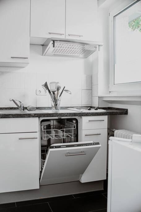 Wiesbaden - Apartment Im Nerotal Εξωτερικό φωτογραφία